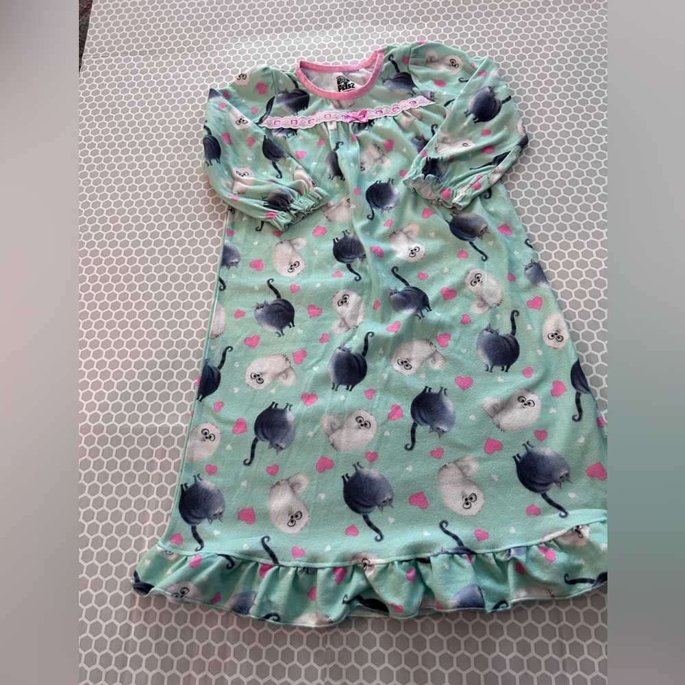 Illumination “The Secret Life of Pets 2” Girl Green Pink Long Night Gown

Size 4